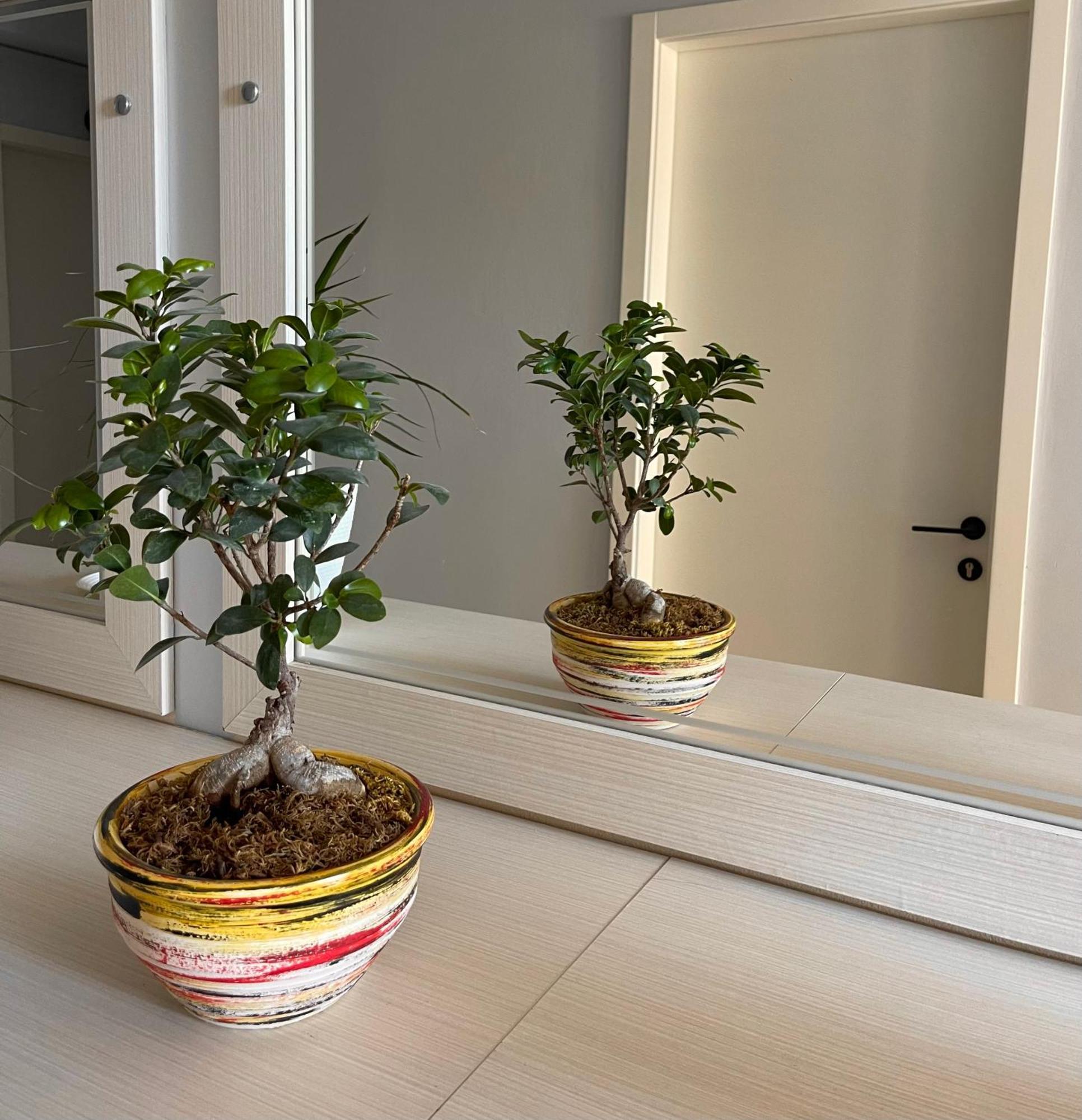 Melina Apartments Sarandë 外观 照片